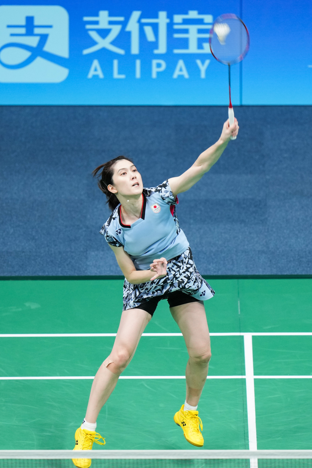 在这种双赢 在这种双赢